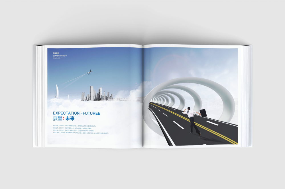 揭东区画册设计